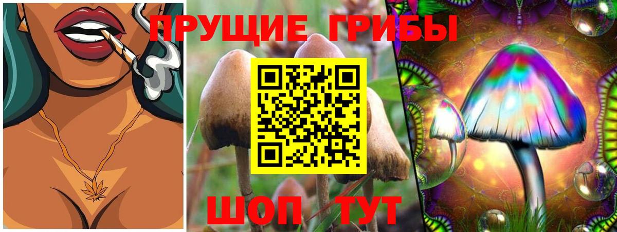 Воскресенск  Псилоцибиновые грибы Psilocybine cubensis  наркошоп  Вход с VPN  Псилоцибиновые грибы MAGIC MUSHROOMS 