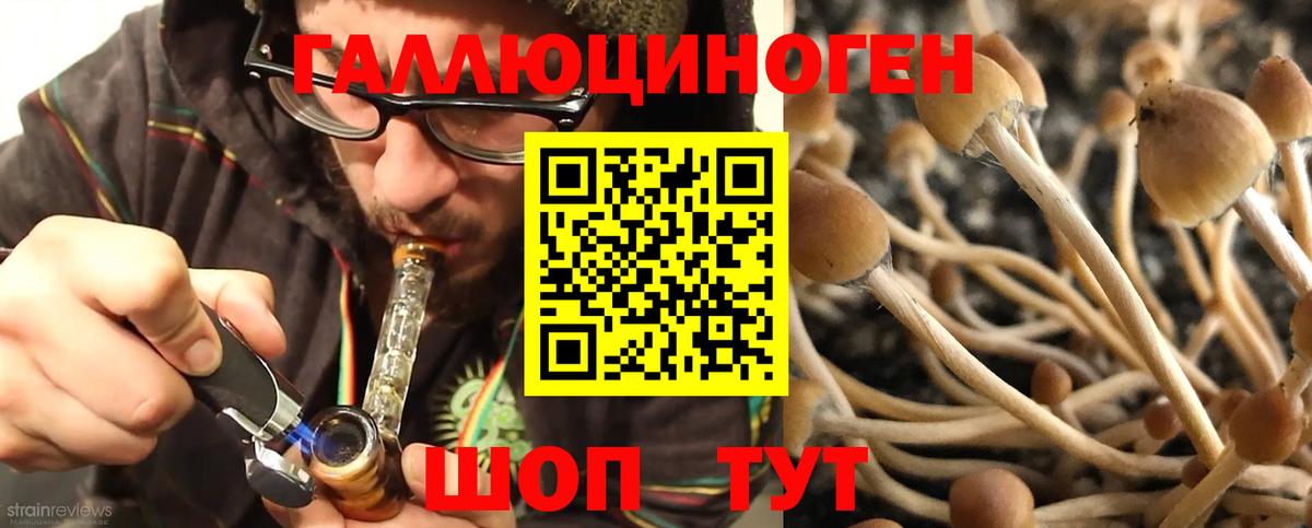 Галлюциногенные грибы MAGIC MUSHROOMS Воскресенск